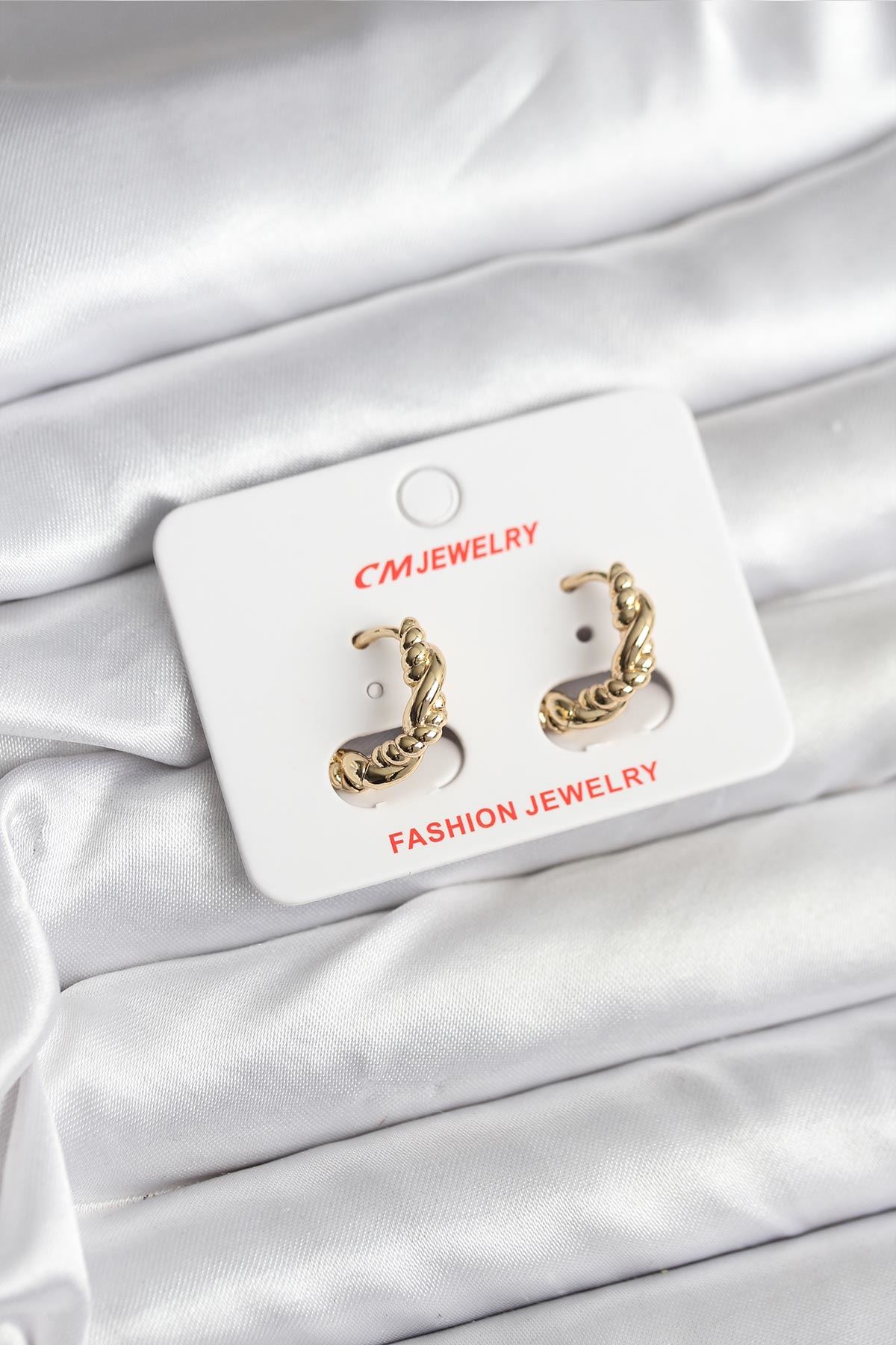 YRTCL 14K Gold Renk Kaplama Burgu Model CM Kadın Küpe