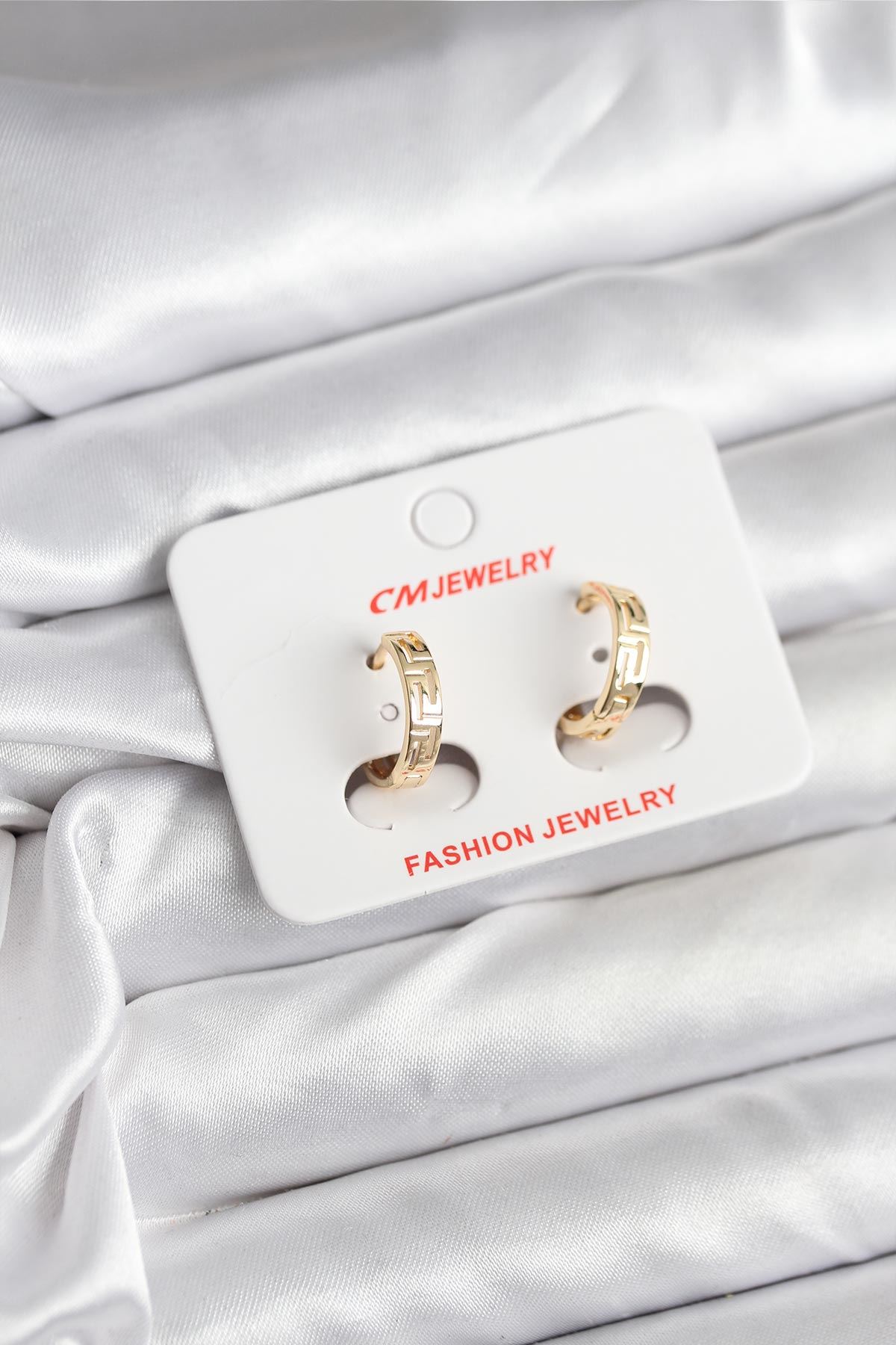 YRTCL 14K Gold Renk Kaplama CM Kadın Küpe