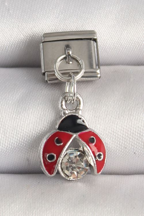 YRTCL 316L Çelik Gümüş Renk Zirkon Taşlı Uğur Böceği Model Nomination Charm