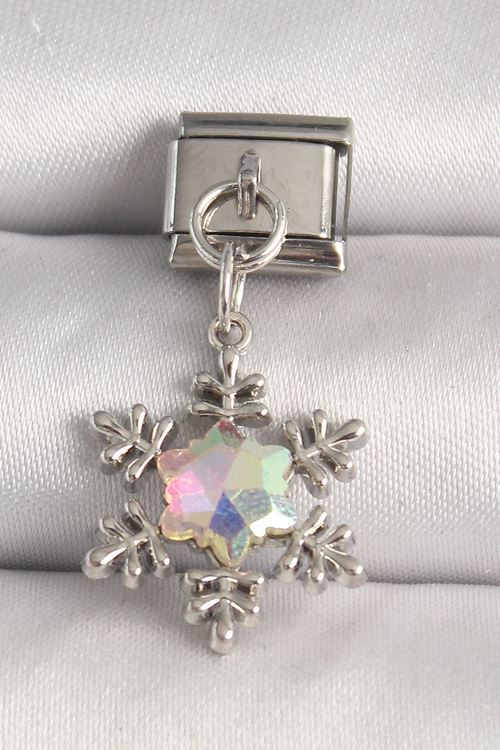 YRTCL 316L Çelik Gümüş Renk Hologram Mineli Kar Tanesi Model Nomination Charm