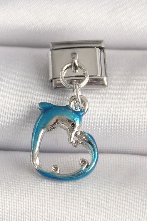 YRTCL 316L Çelik Gümüş Renk Mavi Yunus Model Nomination Charm