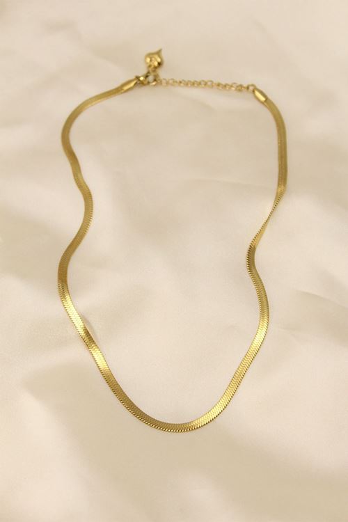 YRTCL 316L Çelik Altın Renk 45 cm İtalyan Zincir Model Kadın Kolye