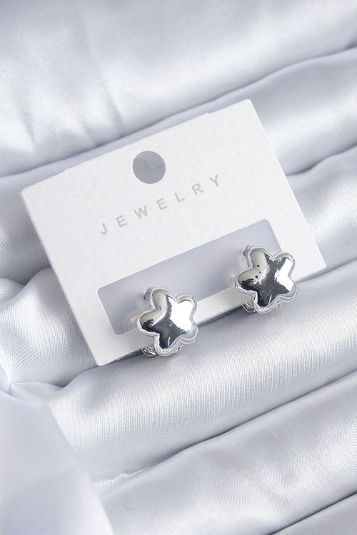 YRTCL Gümüş Renk Yıldız Model Yıldız Model Pirinç Kadın Küpe