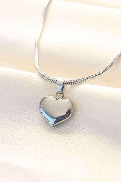 YRTCL 316L Çelik Gümüş Renk Kalp Kolye