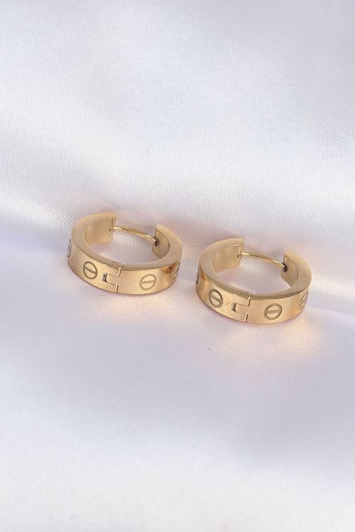 YRTCL 316L Çelik Gold Renk Model Halka Küpe