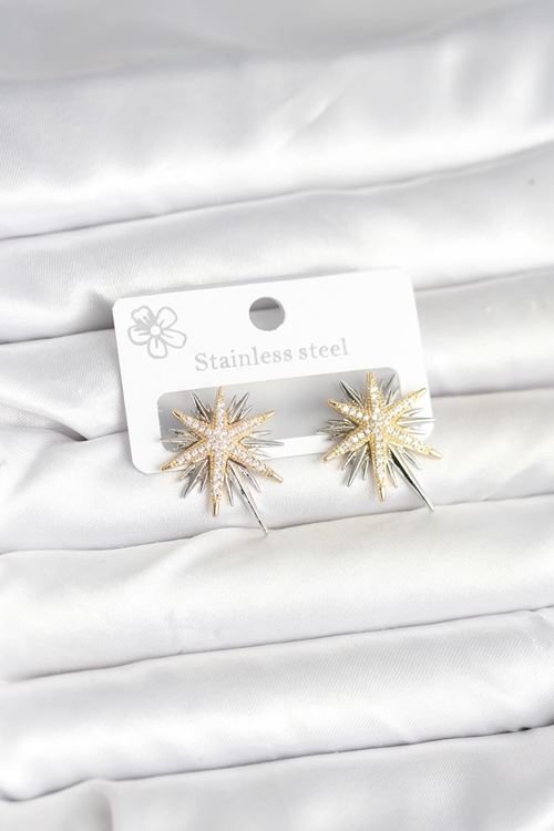 YRTCL Pirinç Gümüş Renk Kutup Yıldızı Kadın Küpe