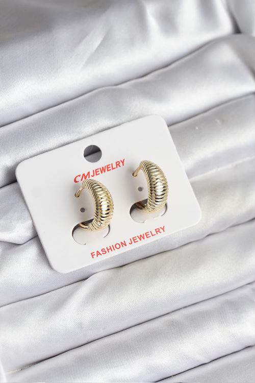 YRTCL 14K Gold Renk Kaplama CM Kadın Küpe