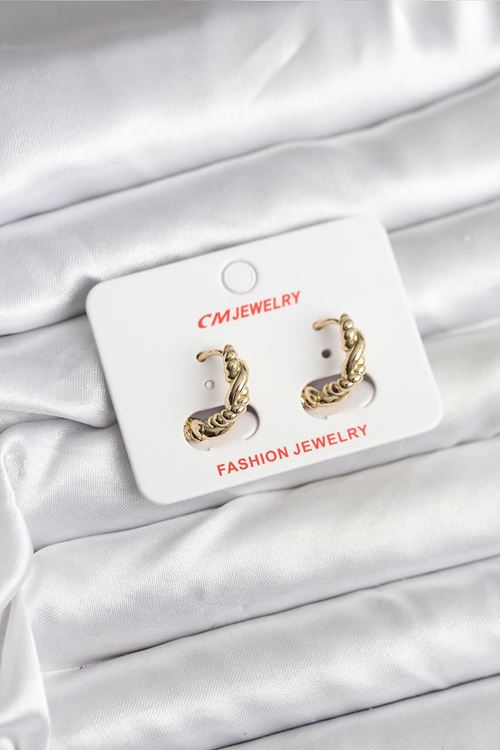 YRTCL 14K Gold Renk Kaplama Burgu Model CM Kadın Küpe