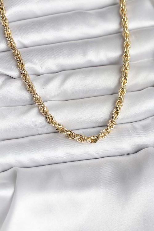 YRTCL 14K Gold Renk Kaplama Burgu Model CM Kadın Kolye