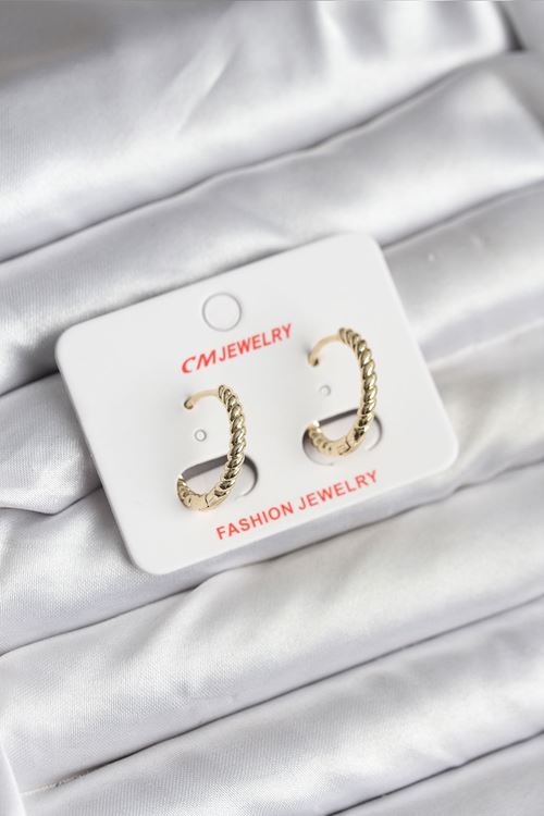 YRTCL 14K Gold Renk Kaplama Burgu Halka CM Kadın Küpe