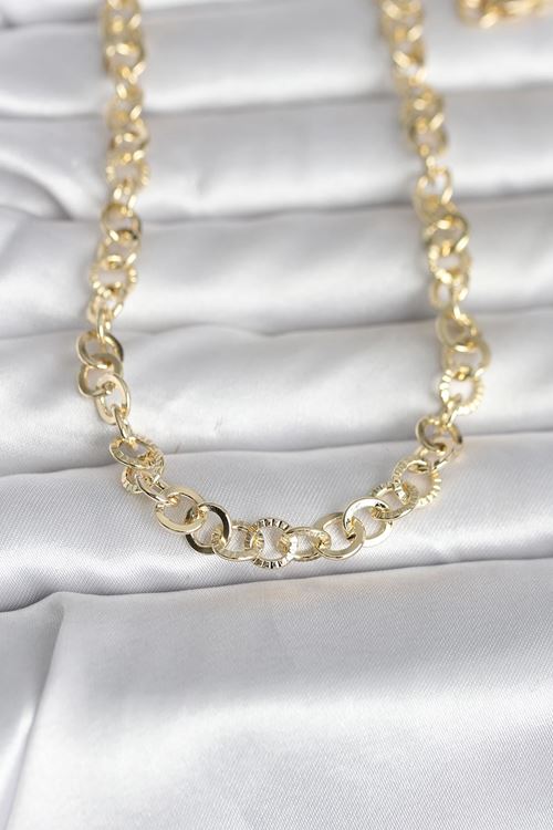 YRTCL CM 14K Gold Renk Kalın Halka Zincirli 60 cm Kadın Kolye